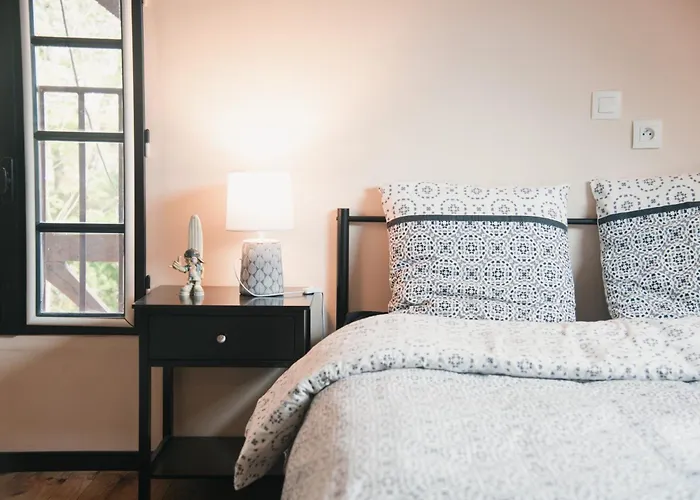 Holiday home Bastide Tyrosse - Conciergerieland *