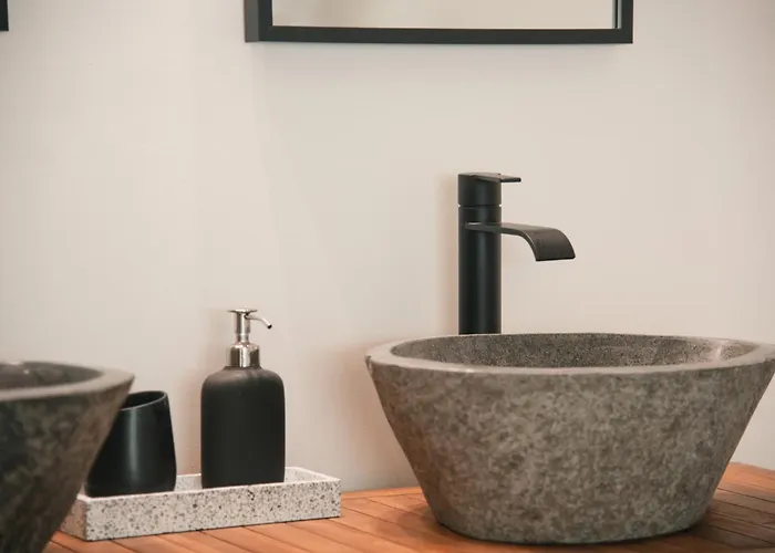 Bastide Tyrosse - Conciergerieland Holiday home *